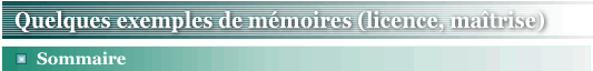 Quelques exemples de memoires (licence, maitrise)