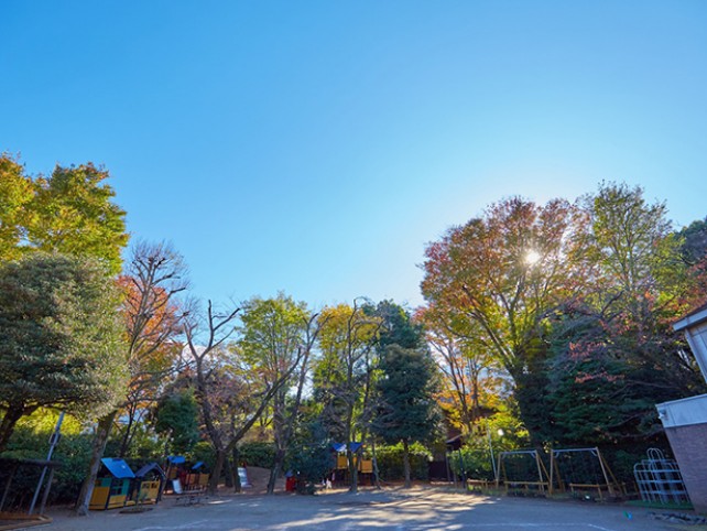 保育室から見える園庭