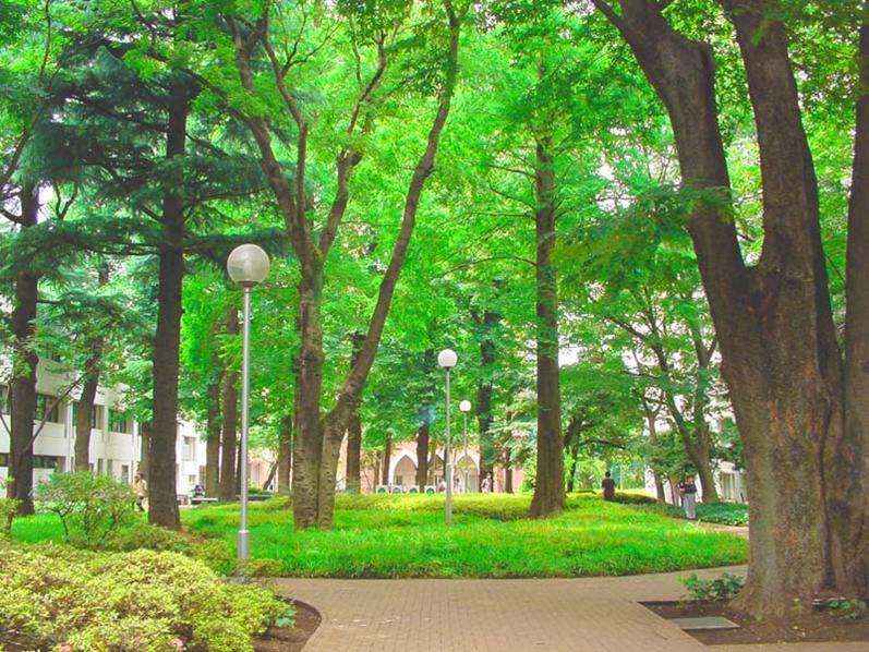 Gakushuin University Psychology Counseling Center