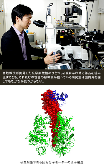 西坂教授が開発した光学顕微鏡のひとつ。研究にあわせて部品を組み直すことも。これだけの性能の顕微鏡が揃っている研究室は国内外を探してもなかなか見つからない。