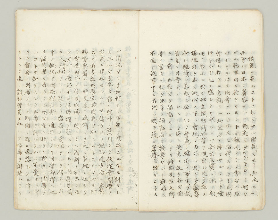 標準画像へ