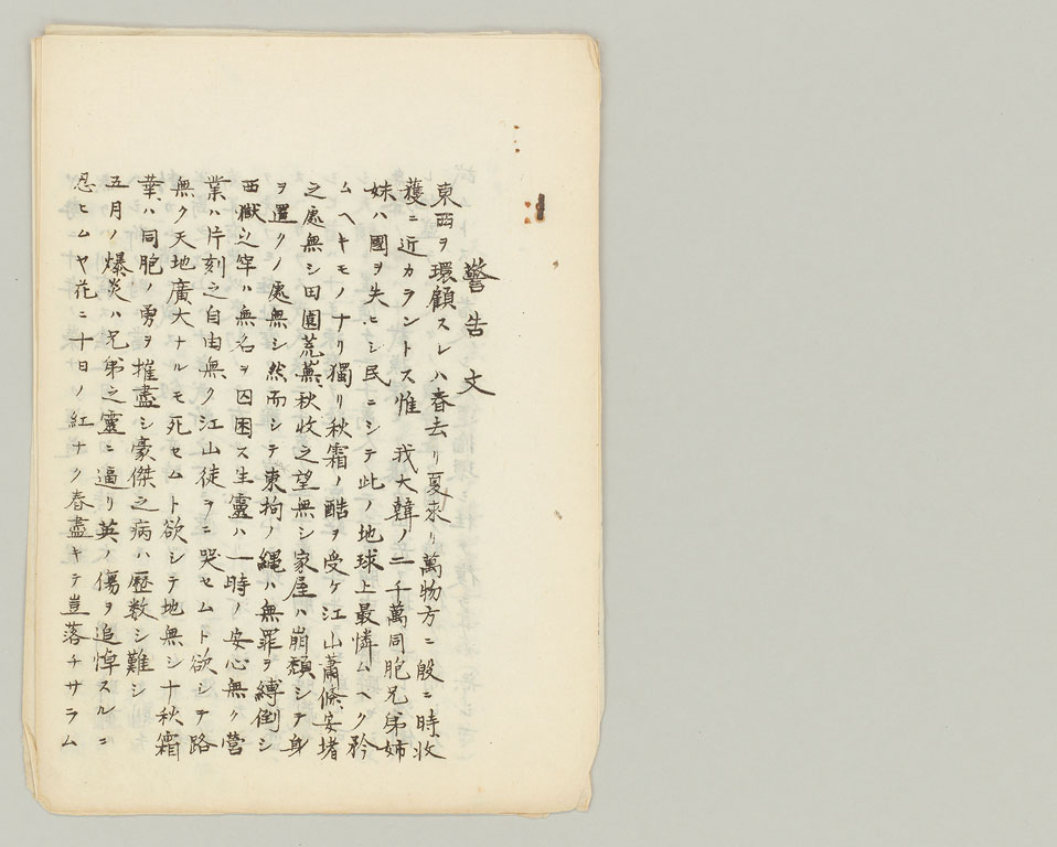 標準画像へ
