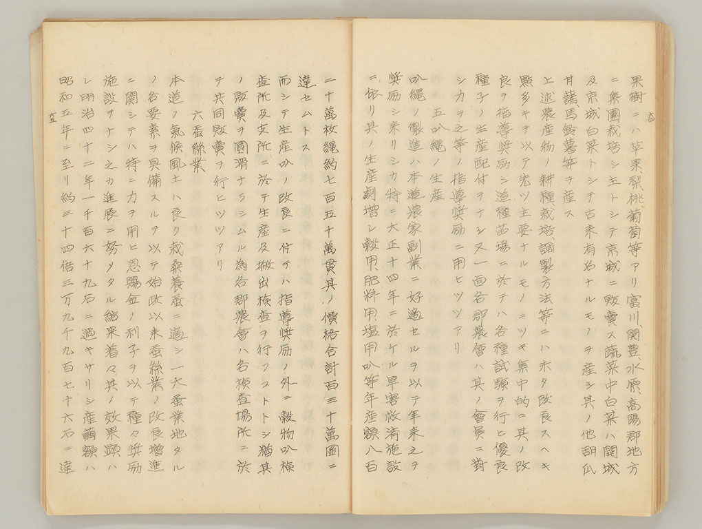 標準画像へ