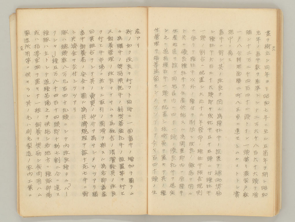 標準画像へ