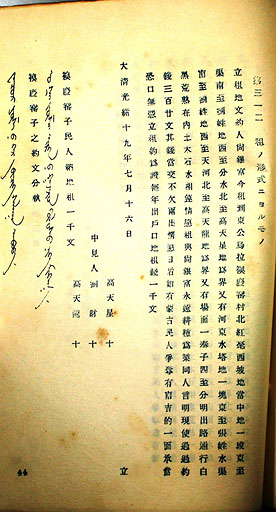 拡大画像へ