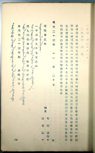 拡大画像へ