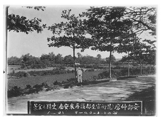 拡大画像へ