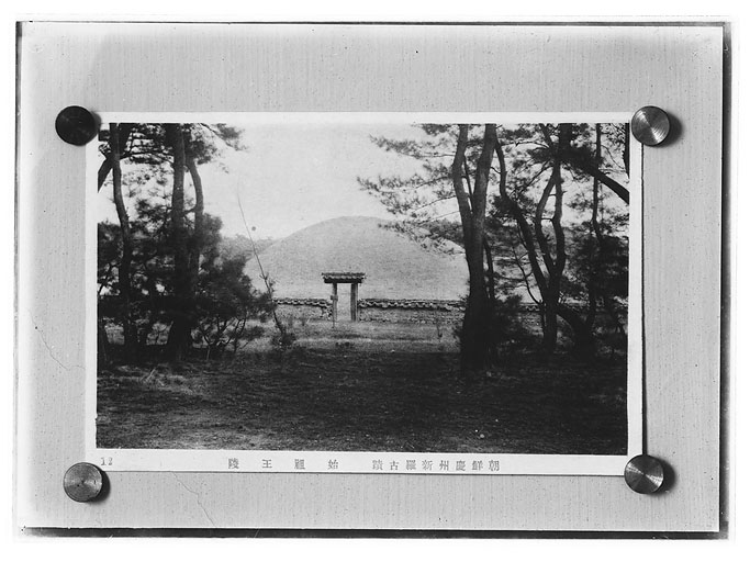 拡大画像へ