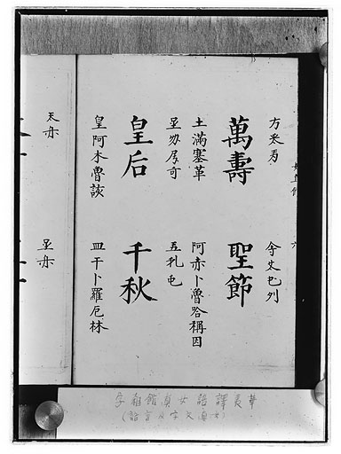 拡大画像へ