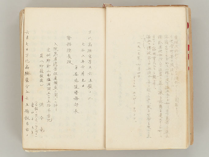 拡大画像へ
