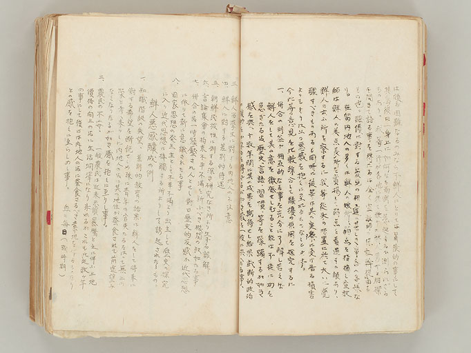 拡大画像へ