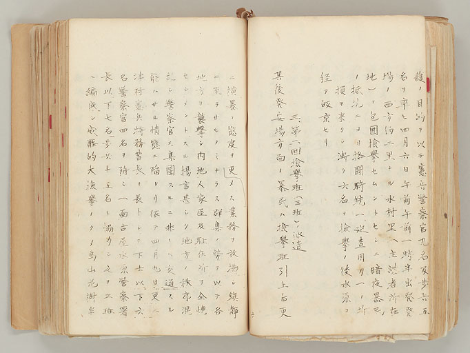 拡大画像へ
