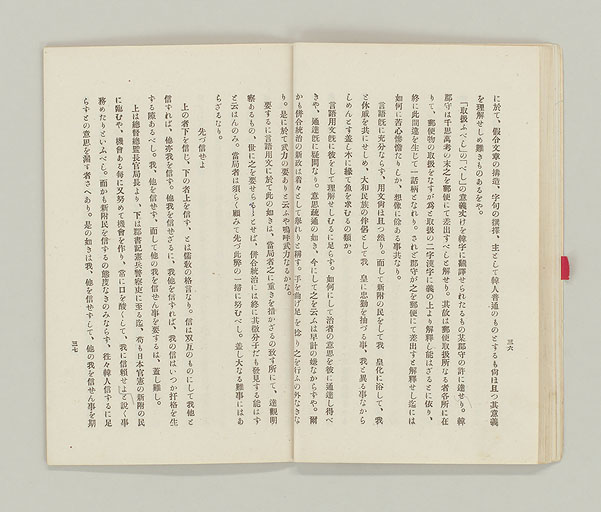 拡大画像へ