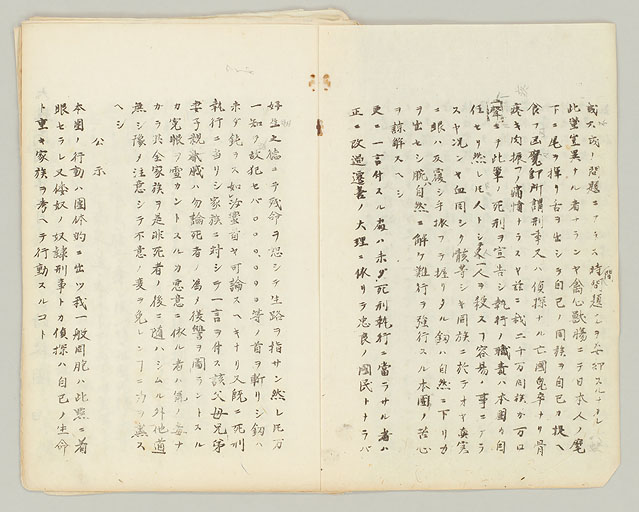 拡大画像へ