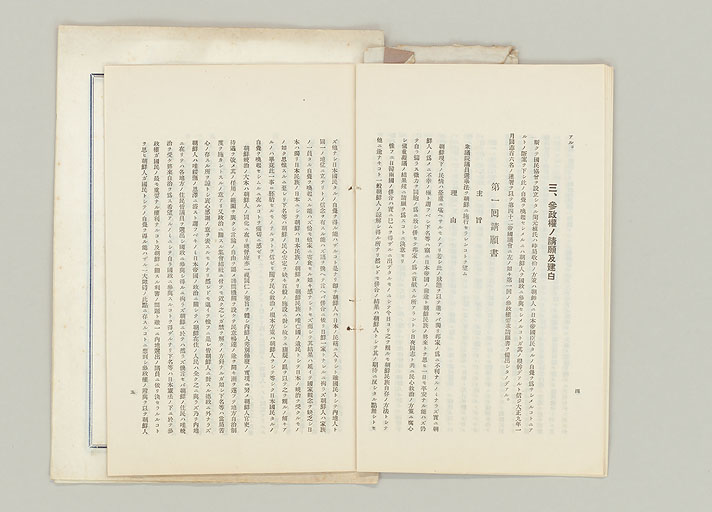 拡大画像へ