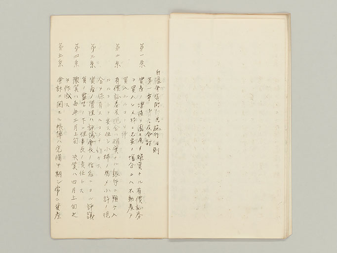 拡大画像へ
