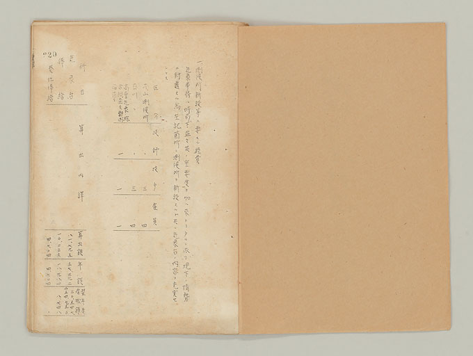 拡大画像へ