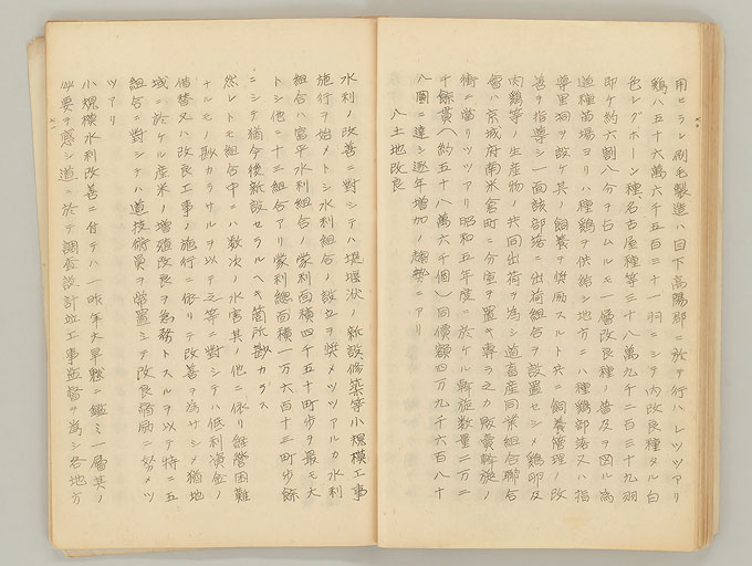 拡大画像へ