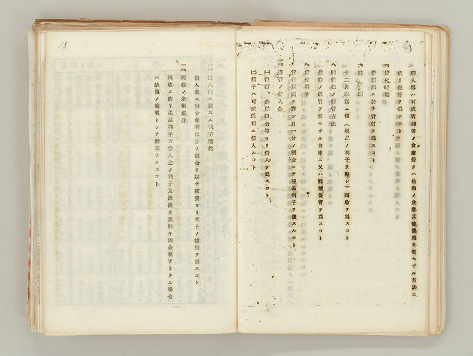 拡大画像へ