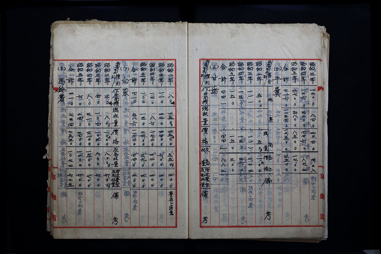 拡大画像へ