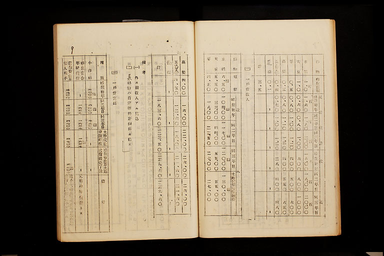 拡大画像へ