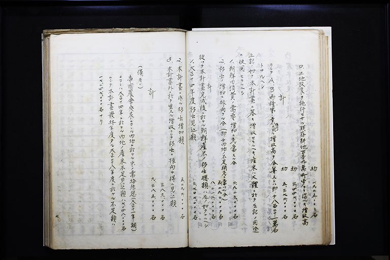 拡大画像へ