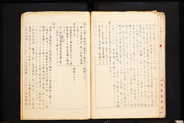 拡大画像へ