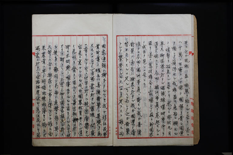 拡大画像へ