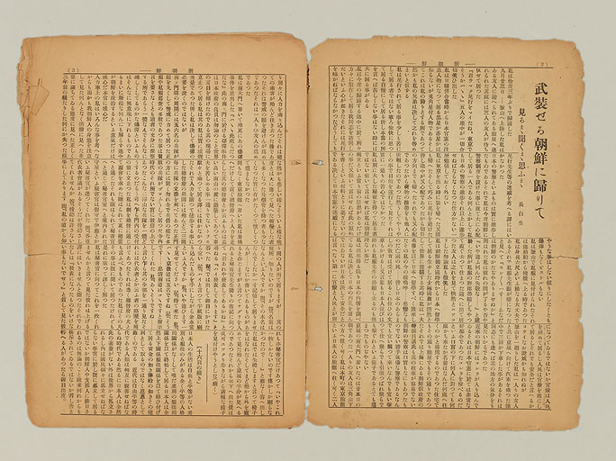 拡大画像へ