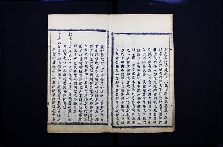 拡大画像へ