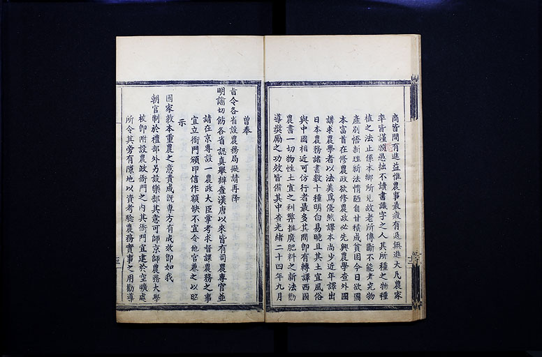 拡大画像へ
