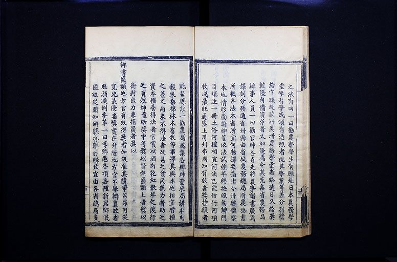 拡大画像へ