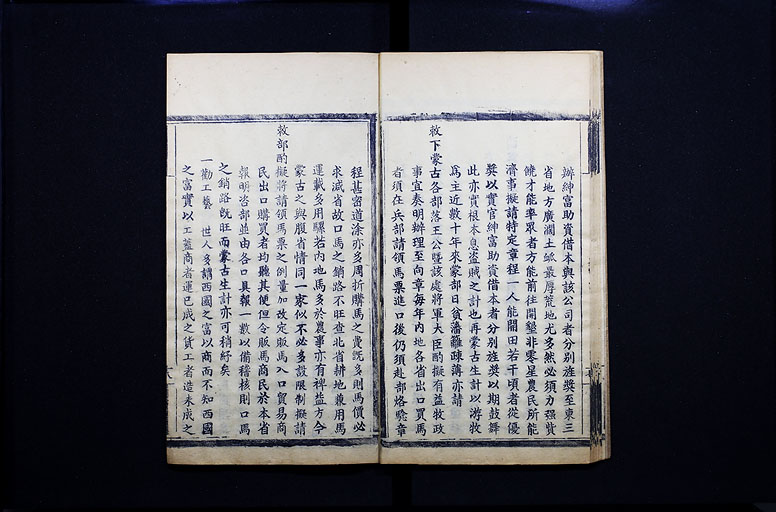 拡大画像へ