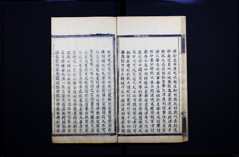 拡大画像へ