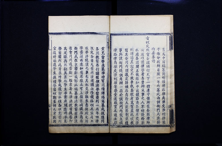 拡大画像へ