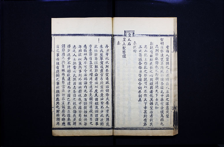 拡大画像へ