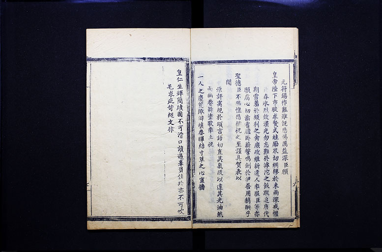 拡大画像へ