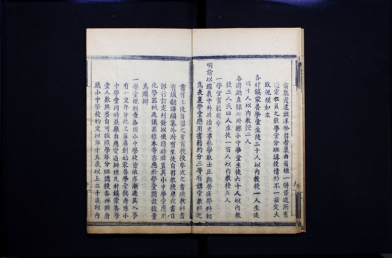 拡大画像へ
