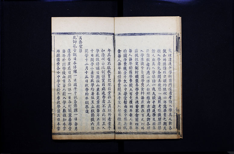 拡大画像へ