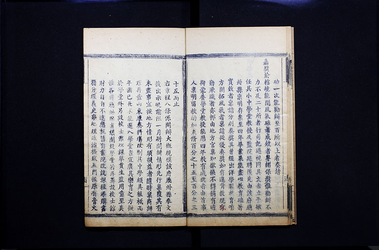 拡大画像へ