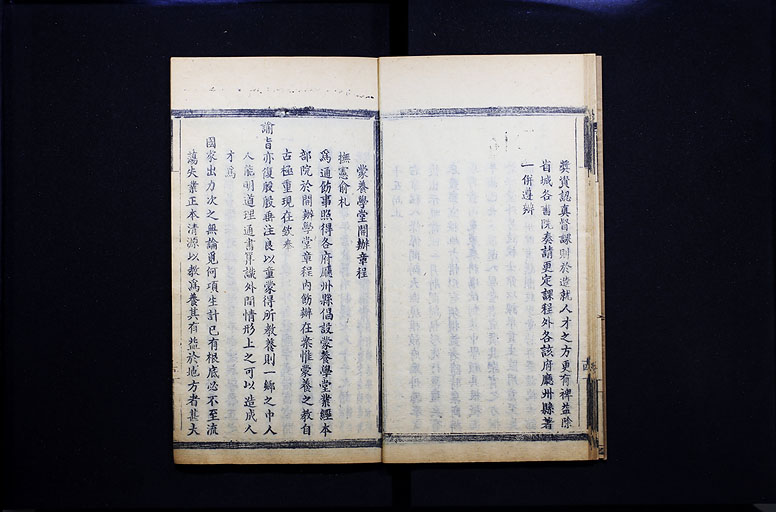 拡大画像へ