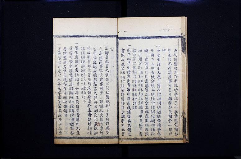 拡大画像へ
