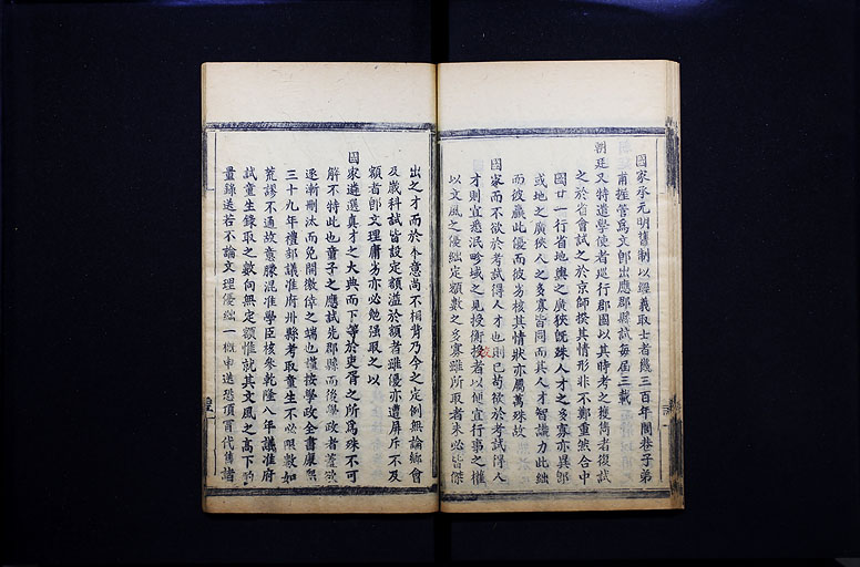 拡大画像へ