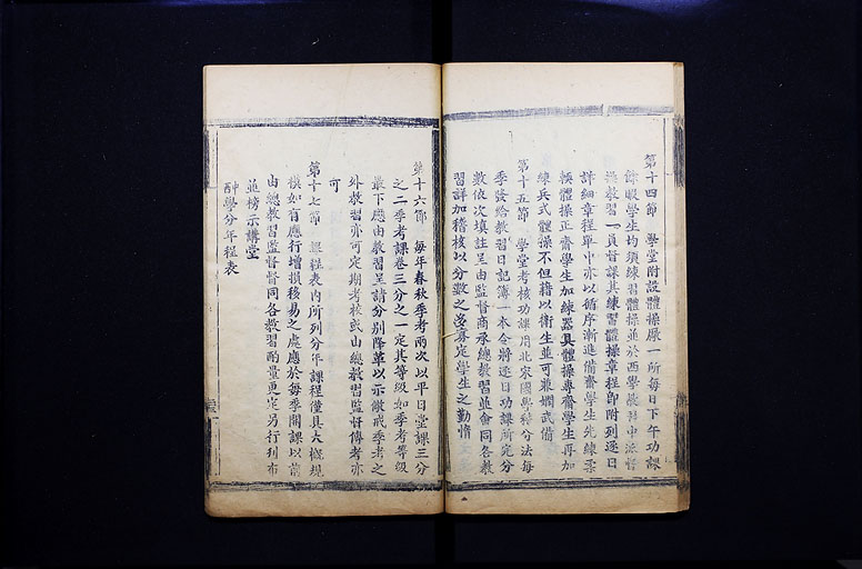 拡大画像へ