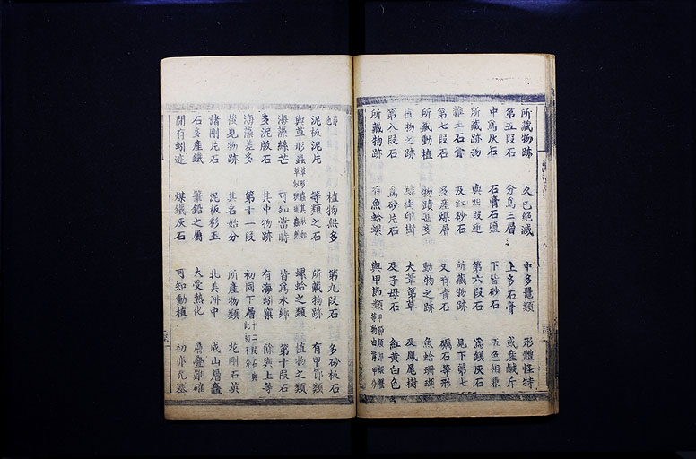 拡大画像へ