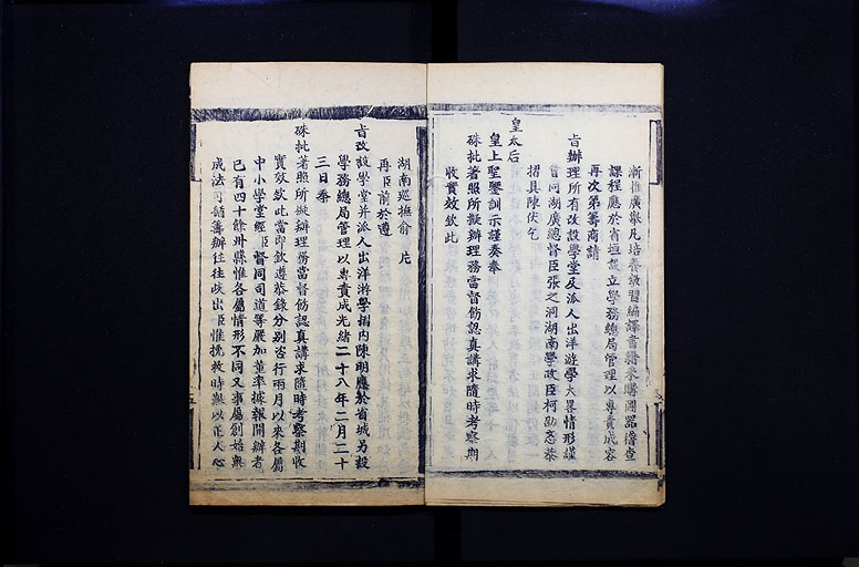 拡大画像へ