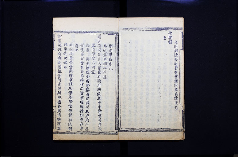 拡大画像へ