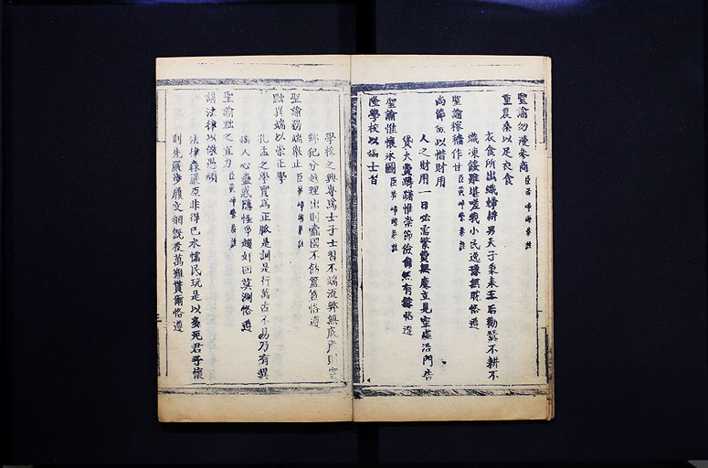 拡大画像へ
