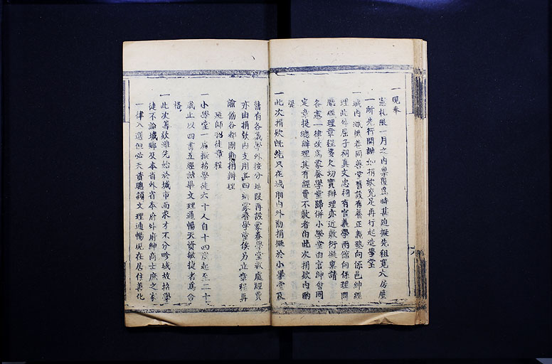 拡大画像へ
