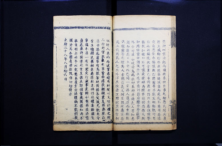 拡大画像へ
